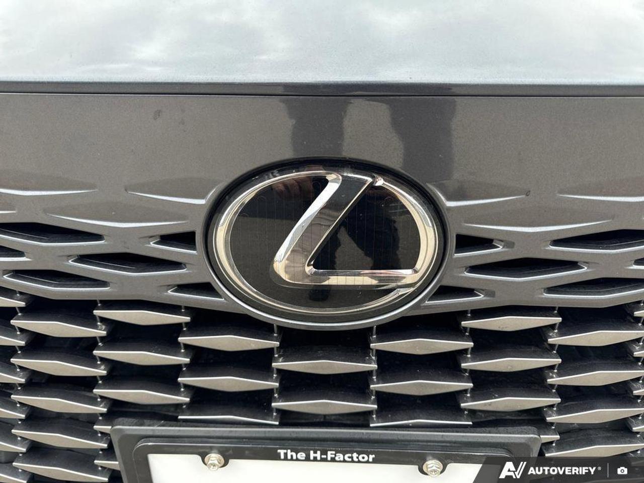 2024 Lexus RX RX 350h Photo