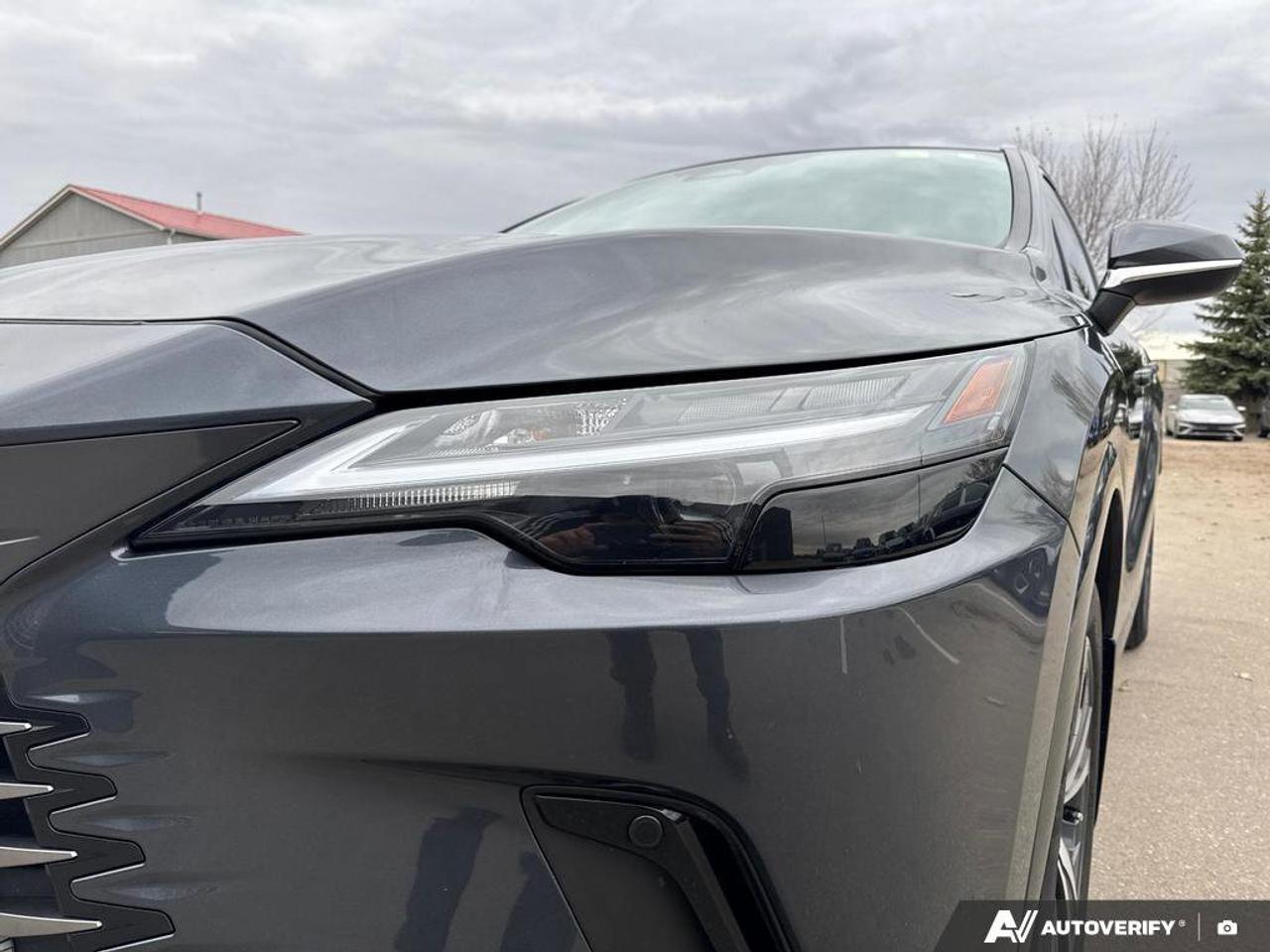 2024 Lexus RX RX 350h Photo