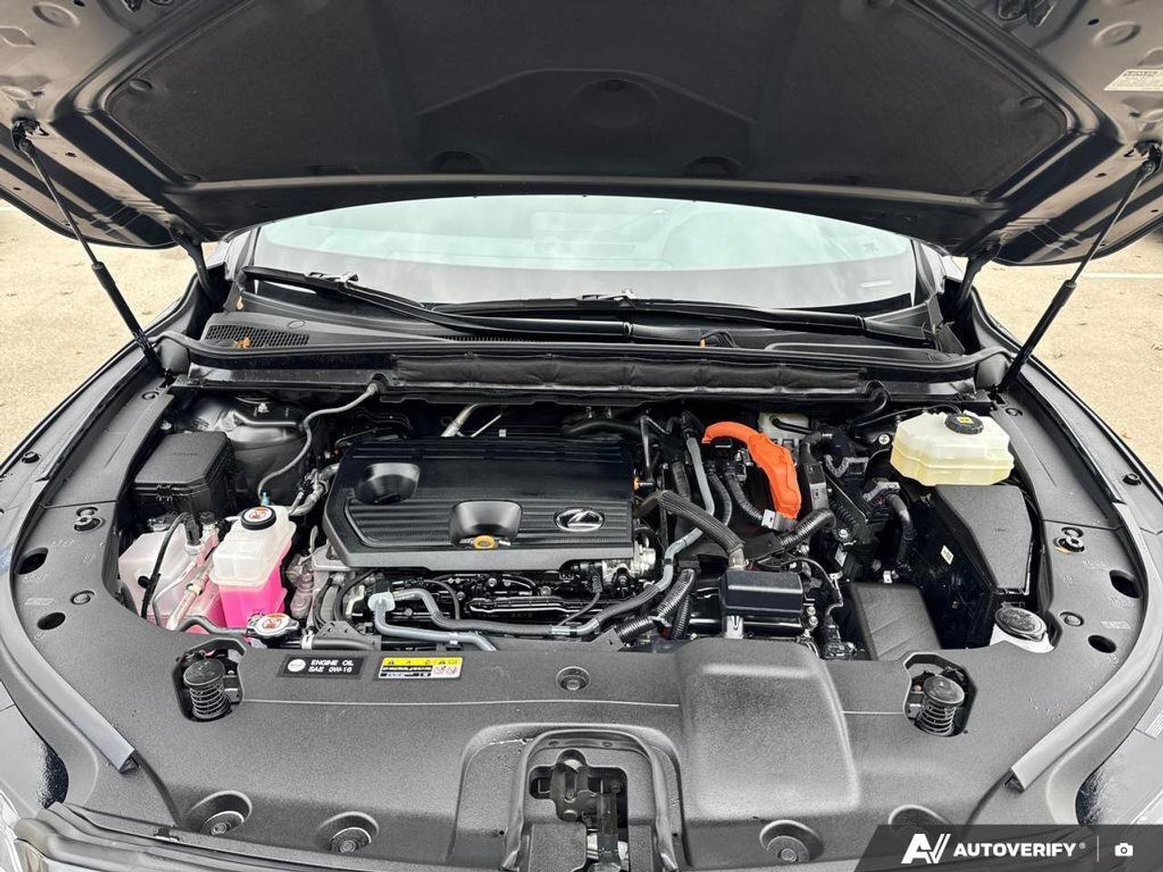 2024 Lexus RX RX 350h Photo