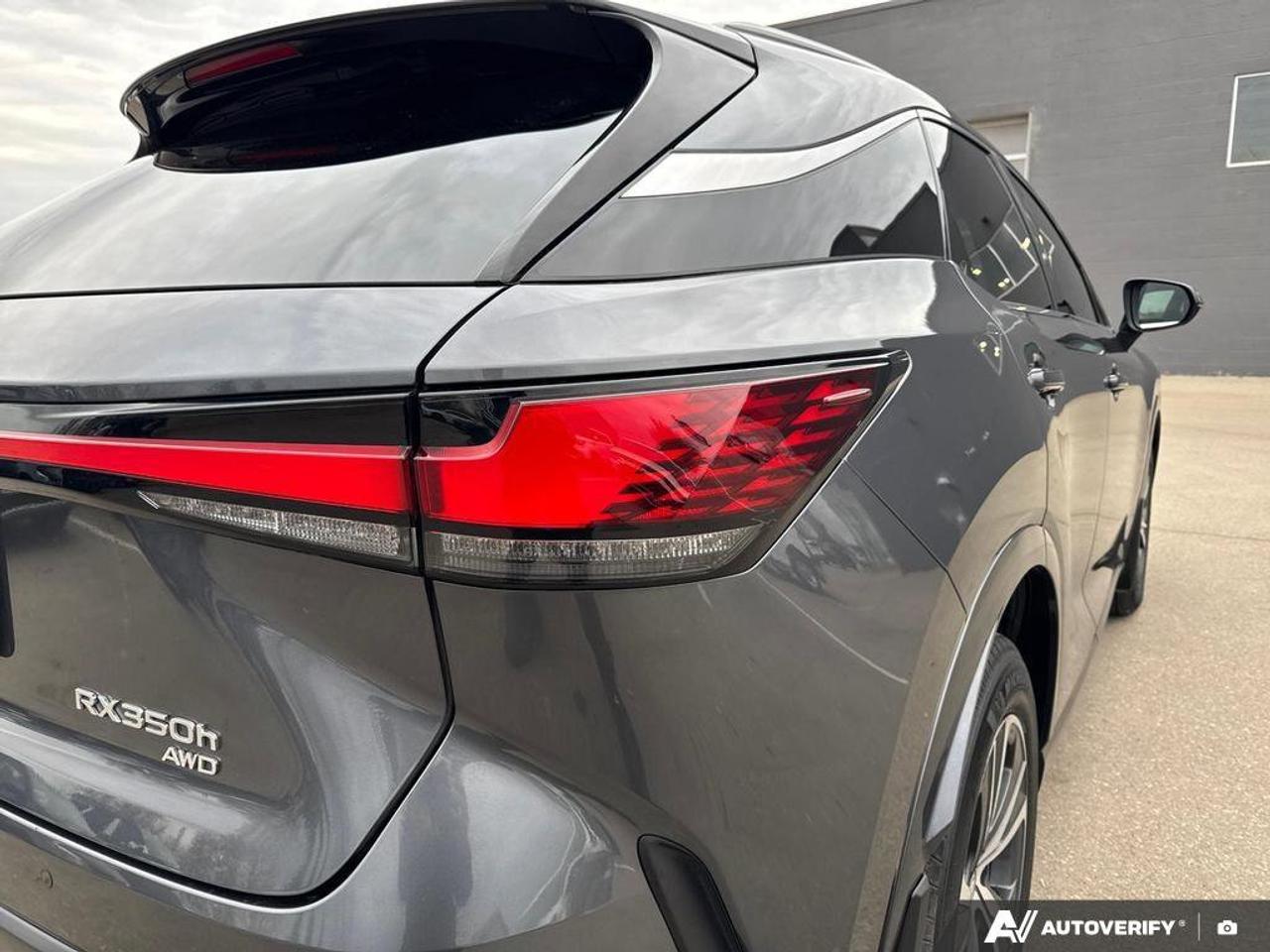 2024 Lexus RX RX 350h Photo