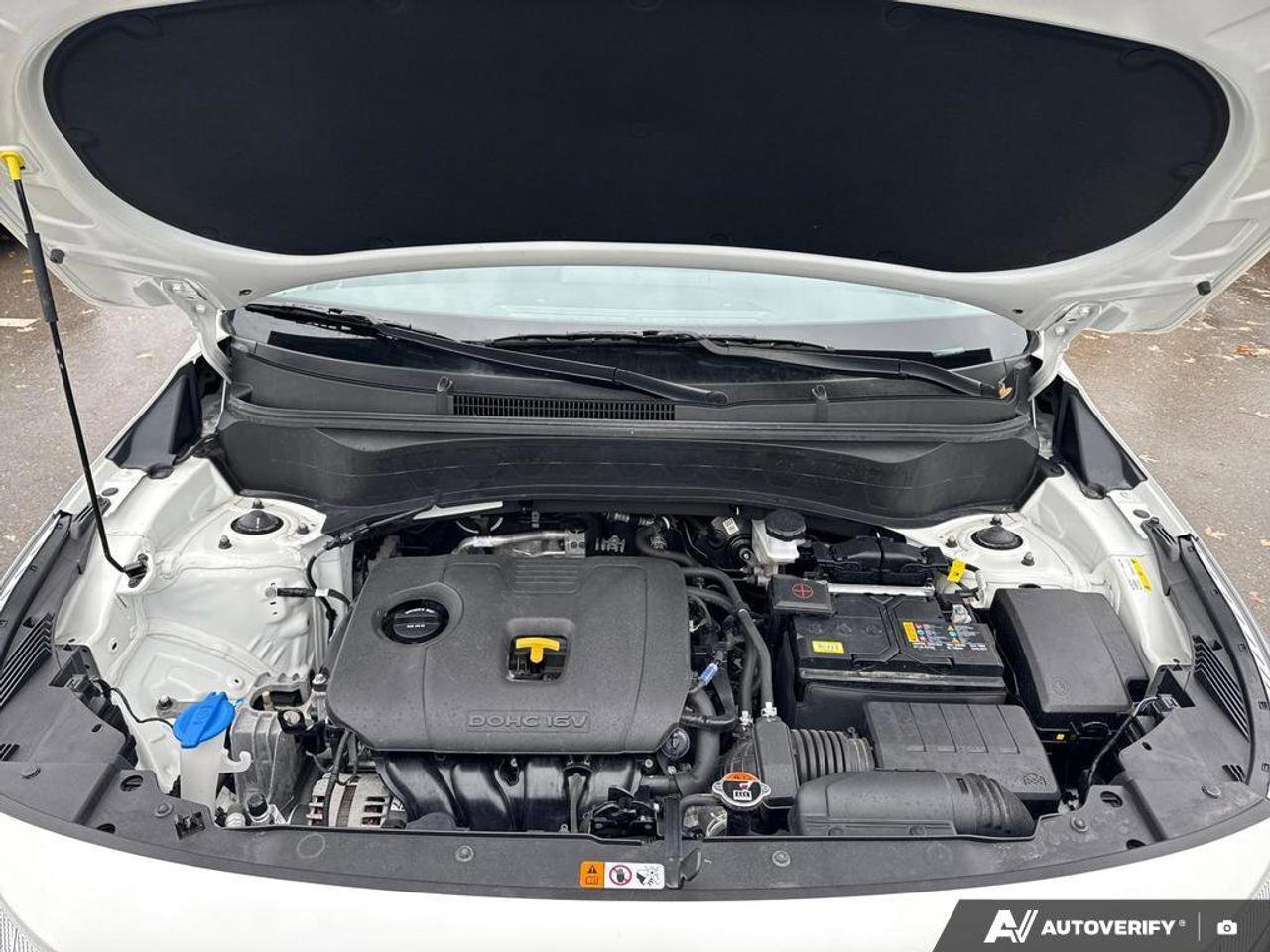 2025 Kia Seltos LX Photo