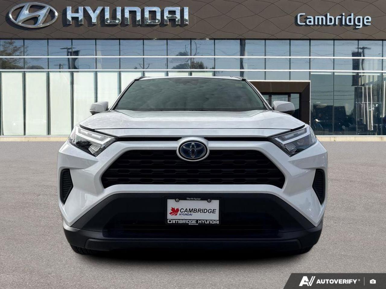 2024 Toyota RAV4 Hybrid XLE AWD   Sunroof   Heated Seats   Carplay Photo
