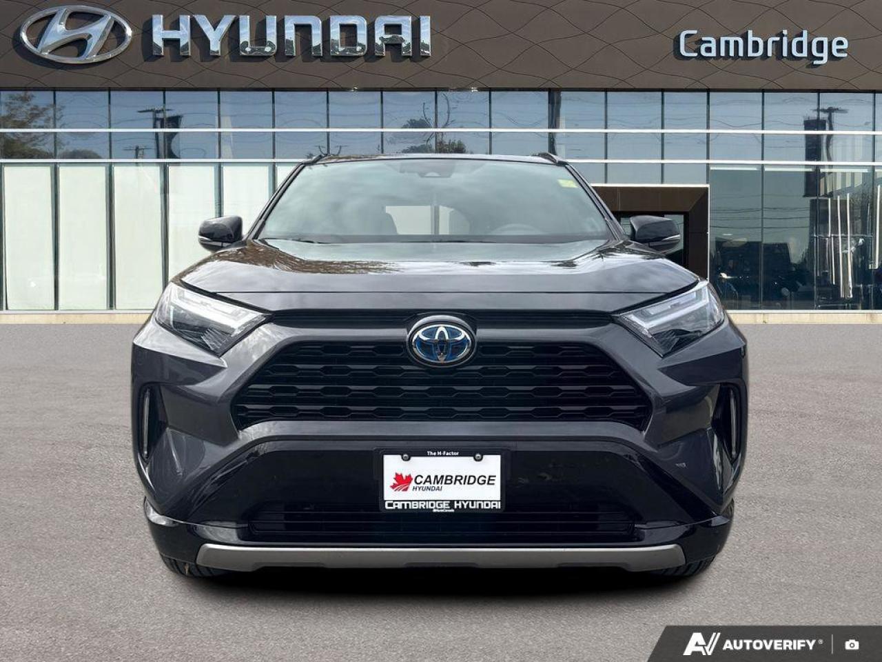 2024 Toyota RAV4 Hybrid XSE AWD   Heated Seats   Sunroof   Hybrid Photo