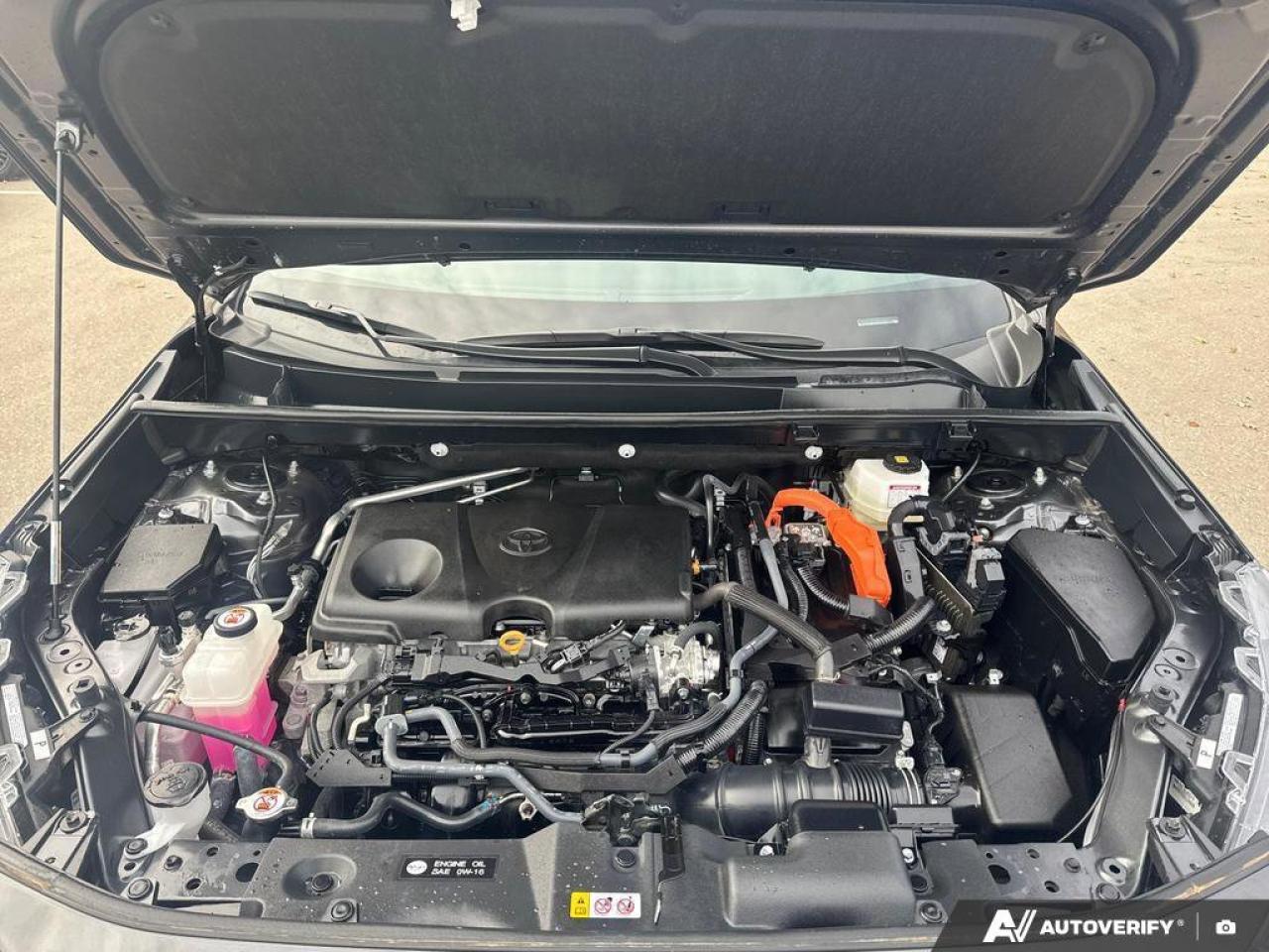 2024 Toyota RAV4 Hybrid XSE AWD   Heated Seats   Sunroof   Hybrid Photo