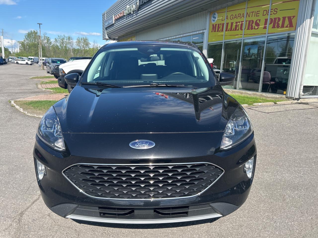 2022 Ford Escape SEL Photo