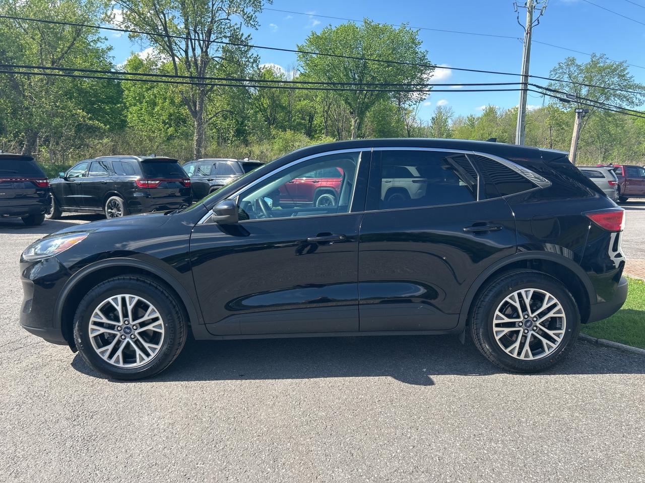 2022 Ford Escape SEL Photo