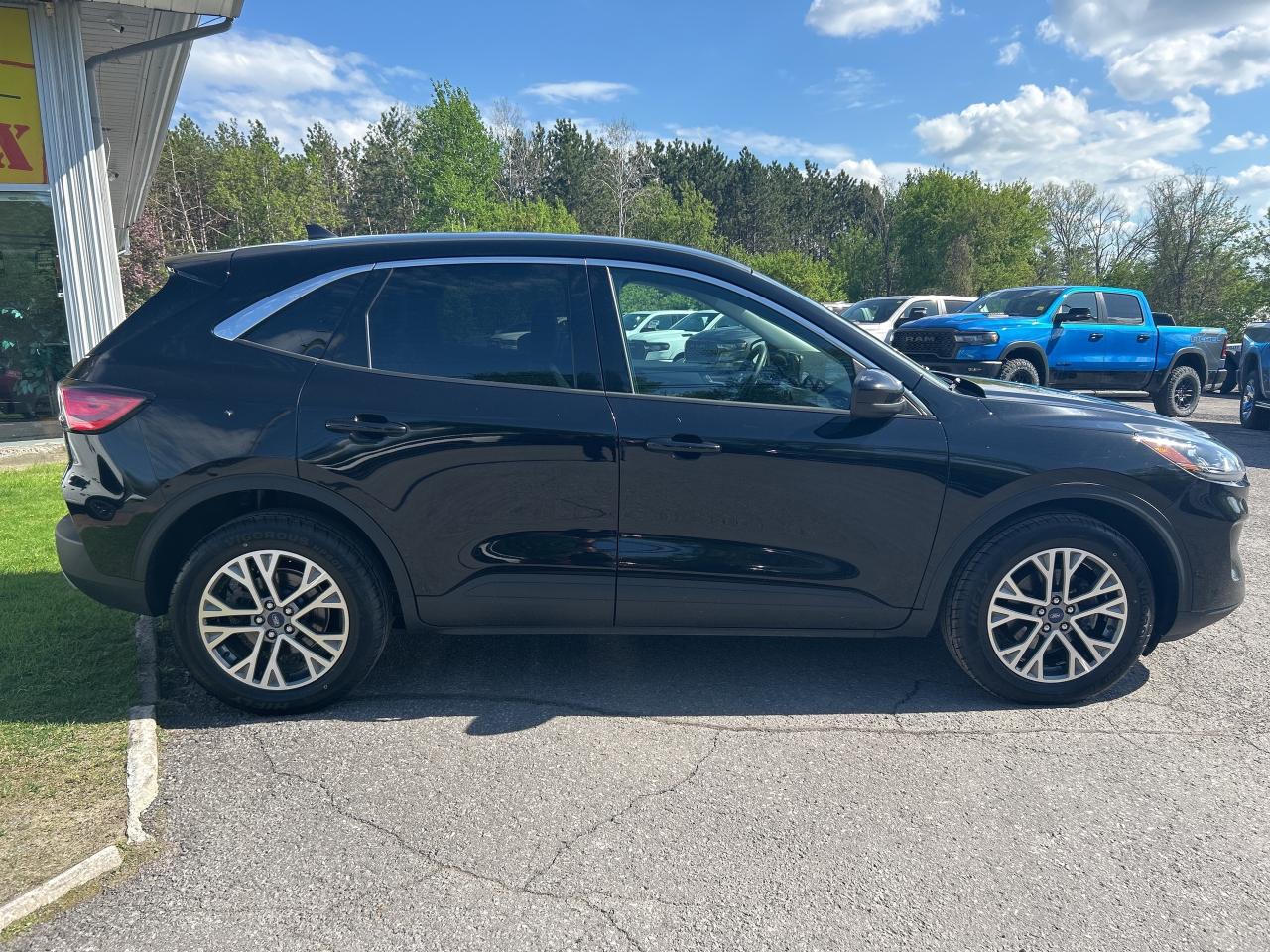 2022 Ford Escape SEL Photo