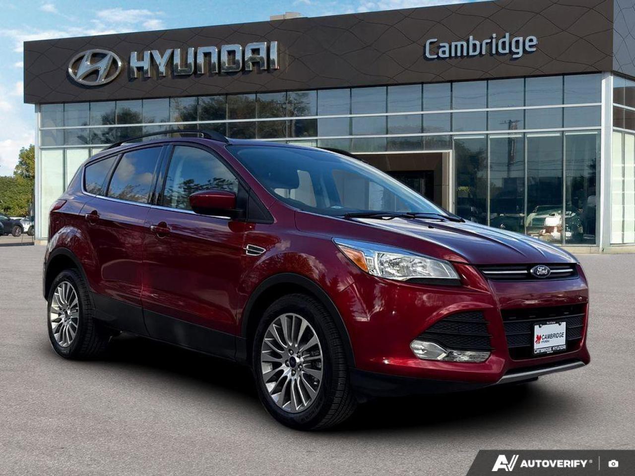2015 Ford Escape SE Photo
