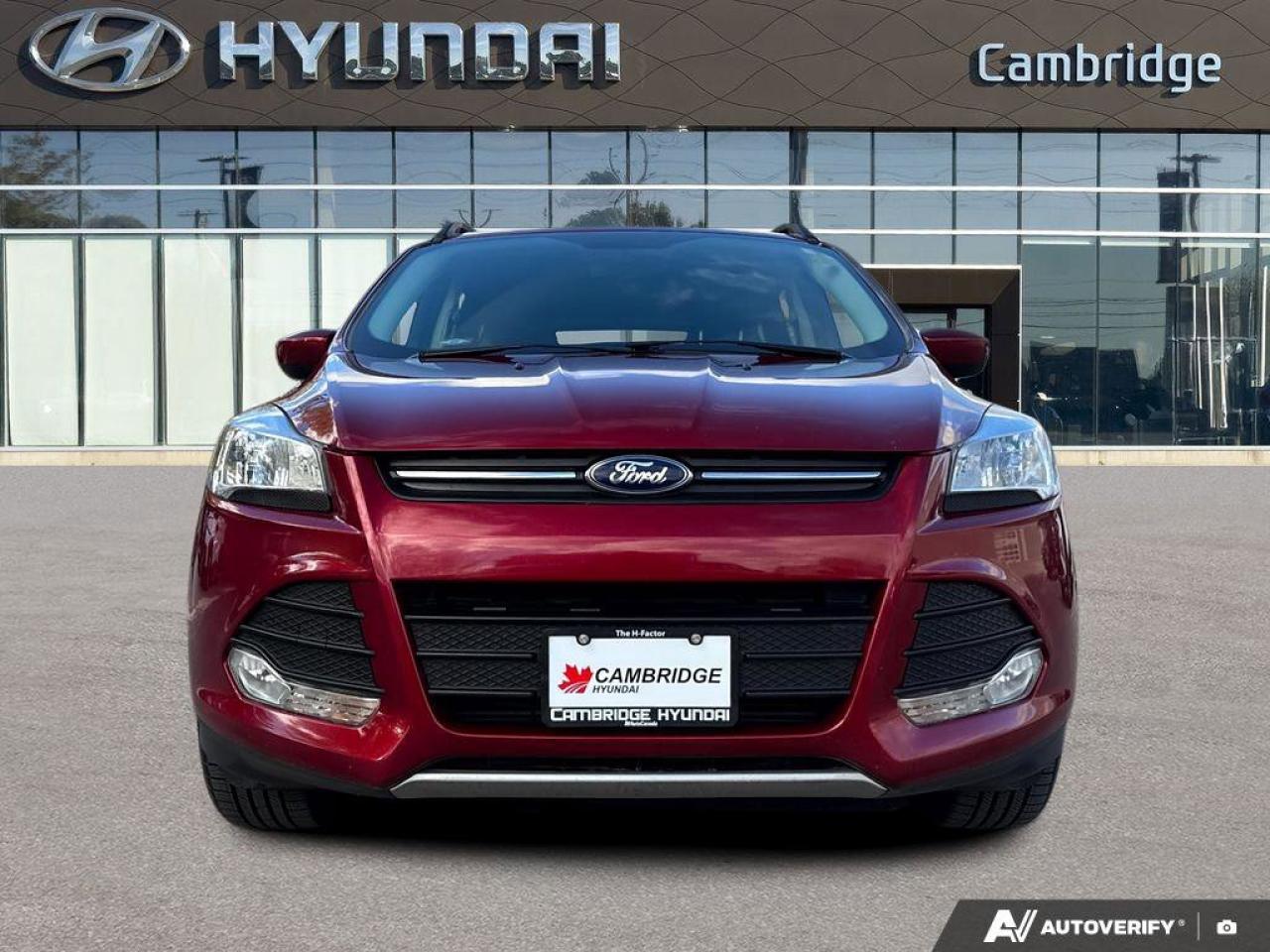 2015 Ford Escape SE Photo