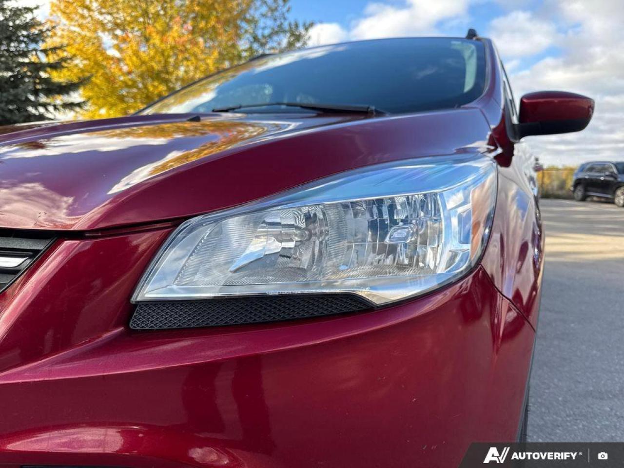 2015 Ford Escape SE Photo