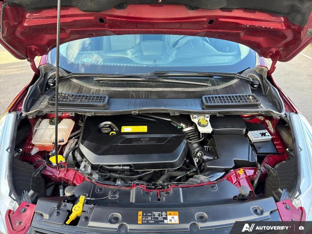 2015 Ford Escape SE Photo