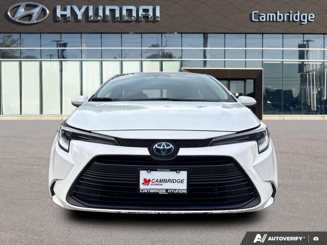 2024 Toyota Corolla Hybrid LE   Heated Seats   Carplay   Toyota Safety Photo