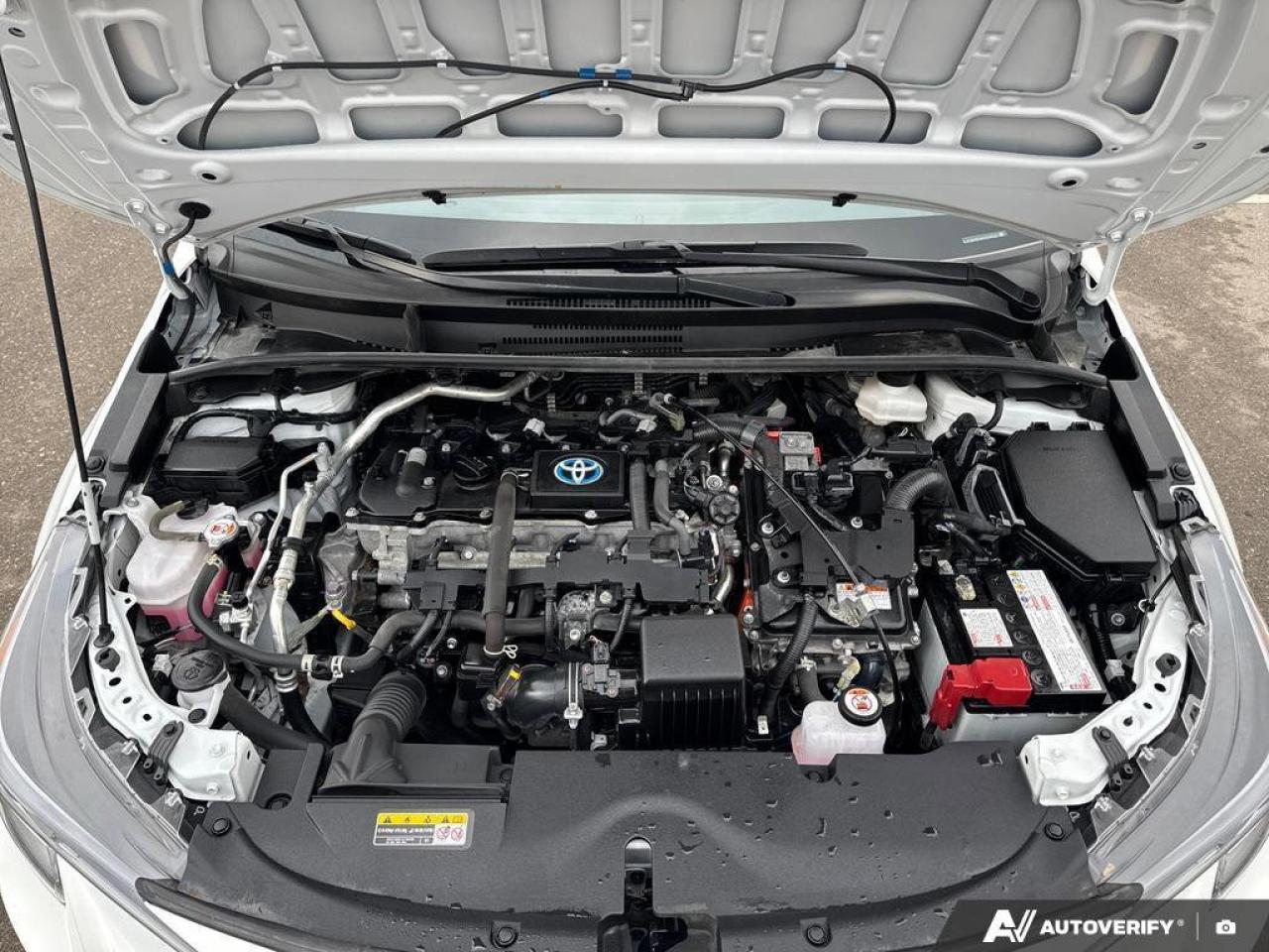 2024 Toyota Corolla Hybrid LE   Heated Seats   Carplay   Toyota Safety Photo