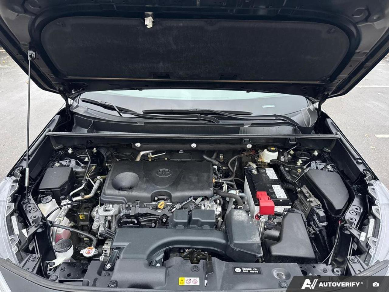 2022 Toyota RAV4 XLE AWD   Heated Seats   Sunroof   Carplay Photo