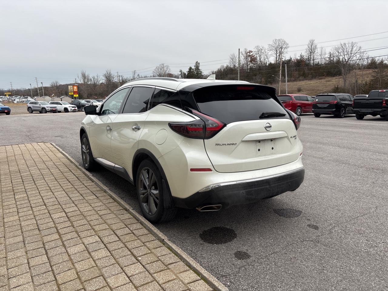 2021 Nissan Murano Platinum Photo