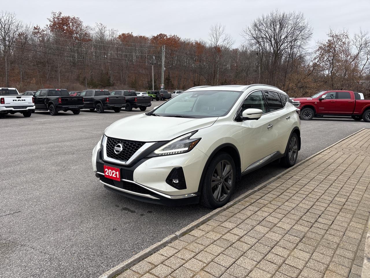 2021 Nissan Murano Platinum Photo