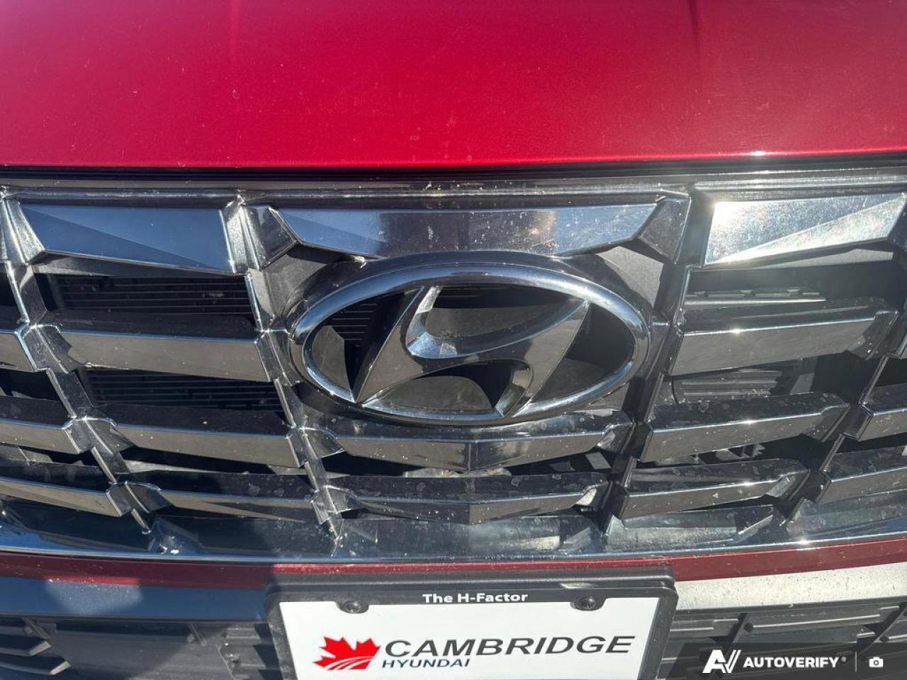 2024 Hyundai Tucson Hybrid N-Line AWD   Panoramic Sunroof   Carplay   One Own Photo