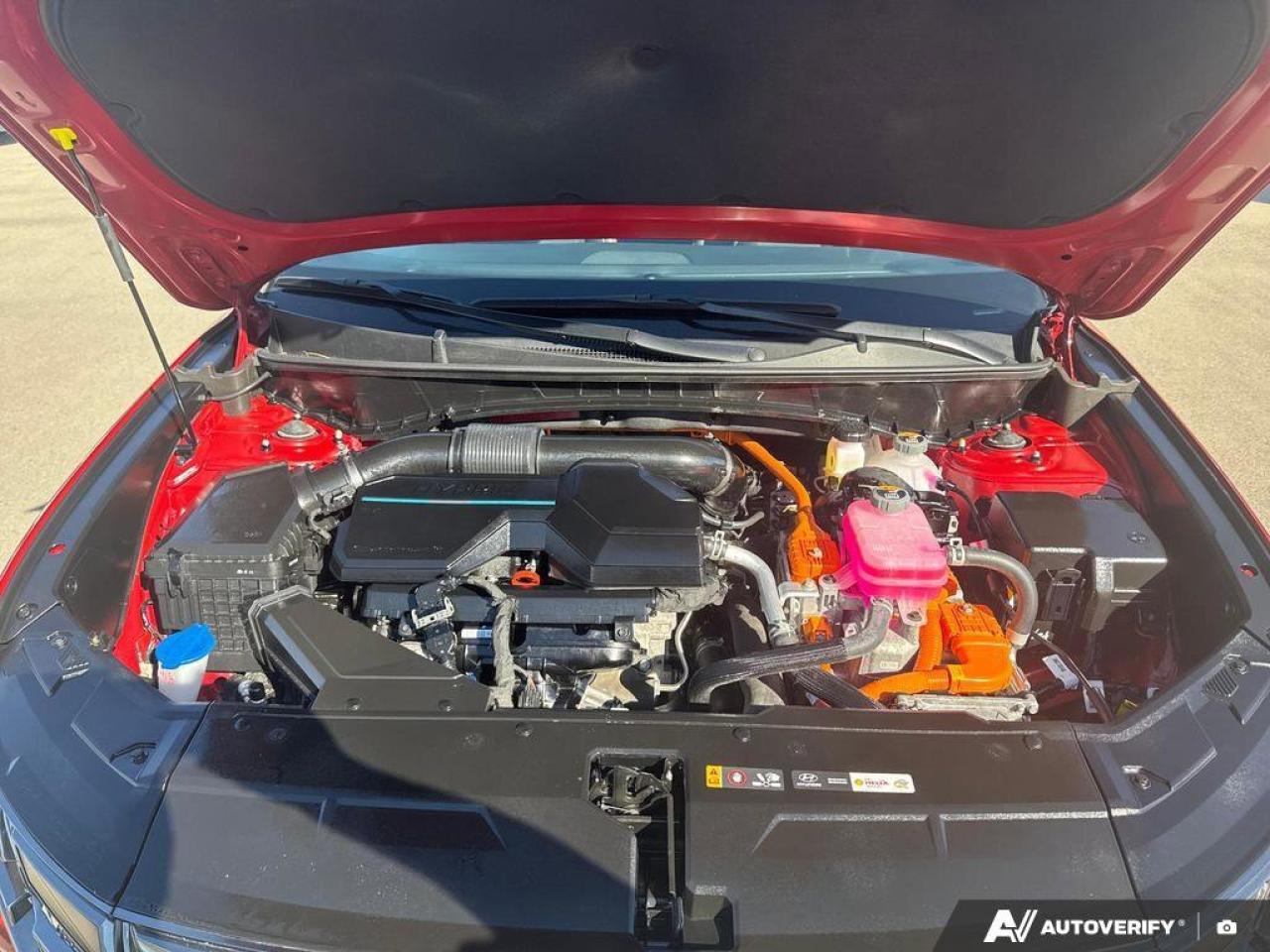 2024 Hyundai Tucson Hybrid N-Line AWD   Panoramic Sunroof   Carplay   One Own Photo