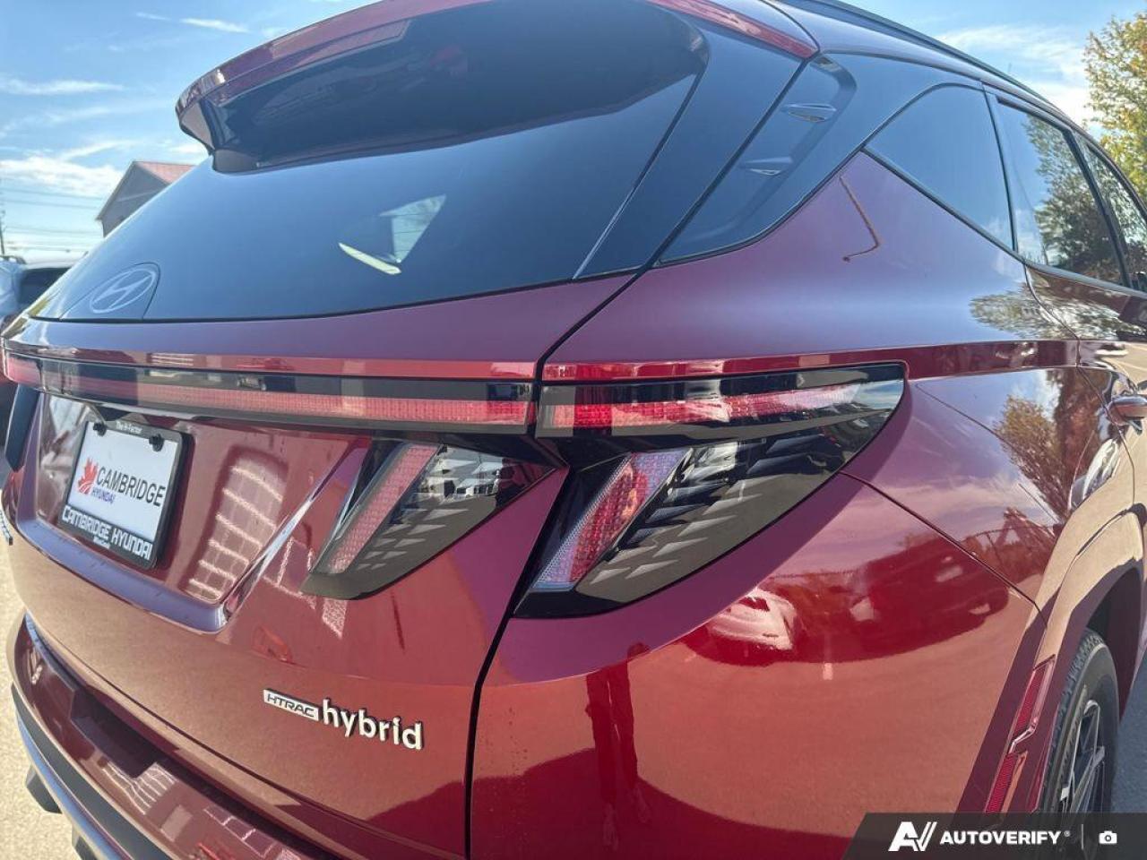 2024 Hyundai Tucson Hybrid N-Line AWD   Panoramic Sunroof   Carplay   One Own Photo