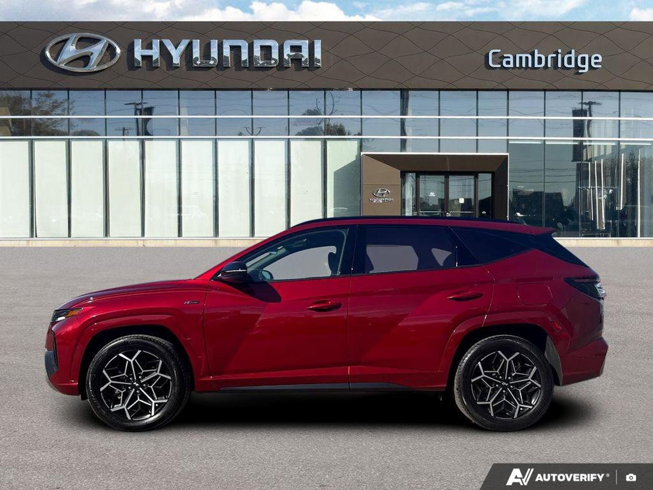 2024 Hyundai Tucson Hybrid N-Line AWD   Panoramic Sunroof   Carplay   One Own Photo