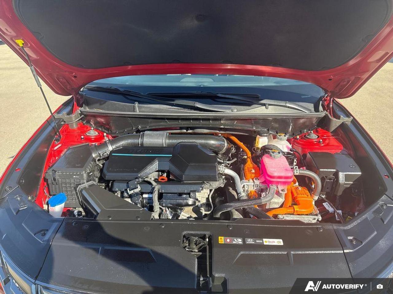 2024 Hyundai Tucson Hybrid N-Line AWD   Panoramic Sunroof   Carplay   One Own Photo