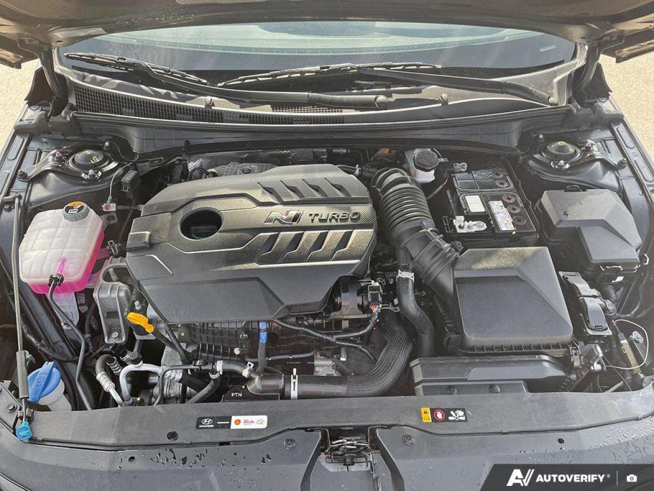 2023 Hyundai Elantra N 6-Speed Manual   No Accidents   Performance Seda Photo