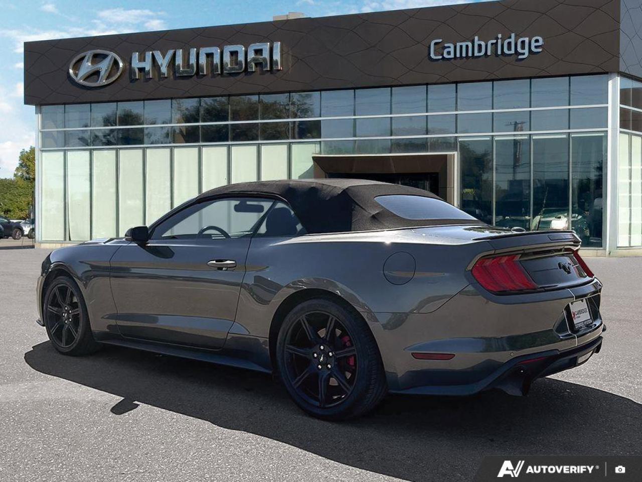 2019 Ford Mustang Convertible   Automatic   Turbocharged   Low KM Photo