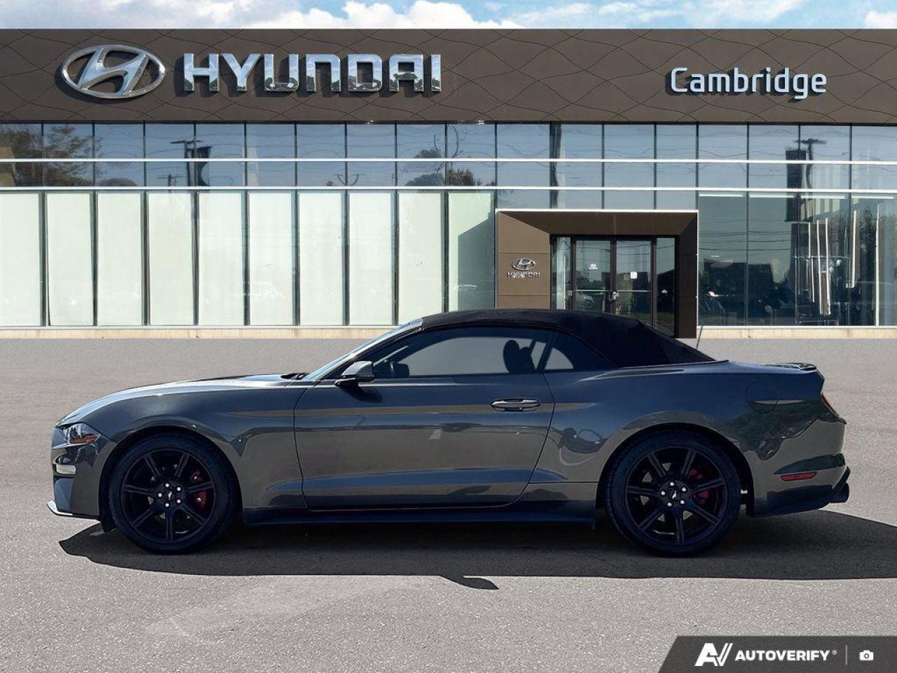 2019 Ford Mustang Convertible   Automatic   Turbocharged   Low KM Photo