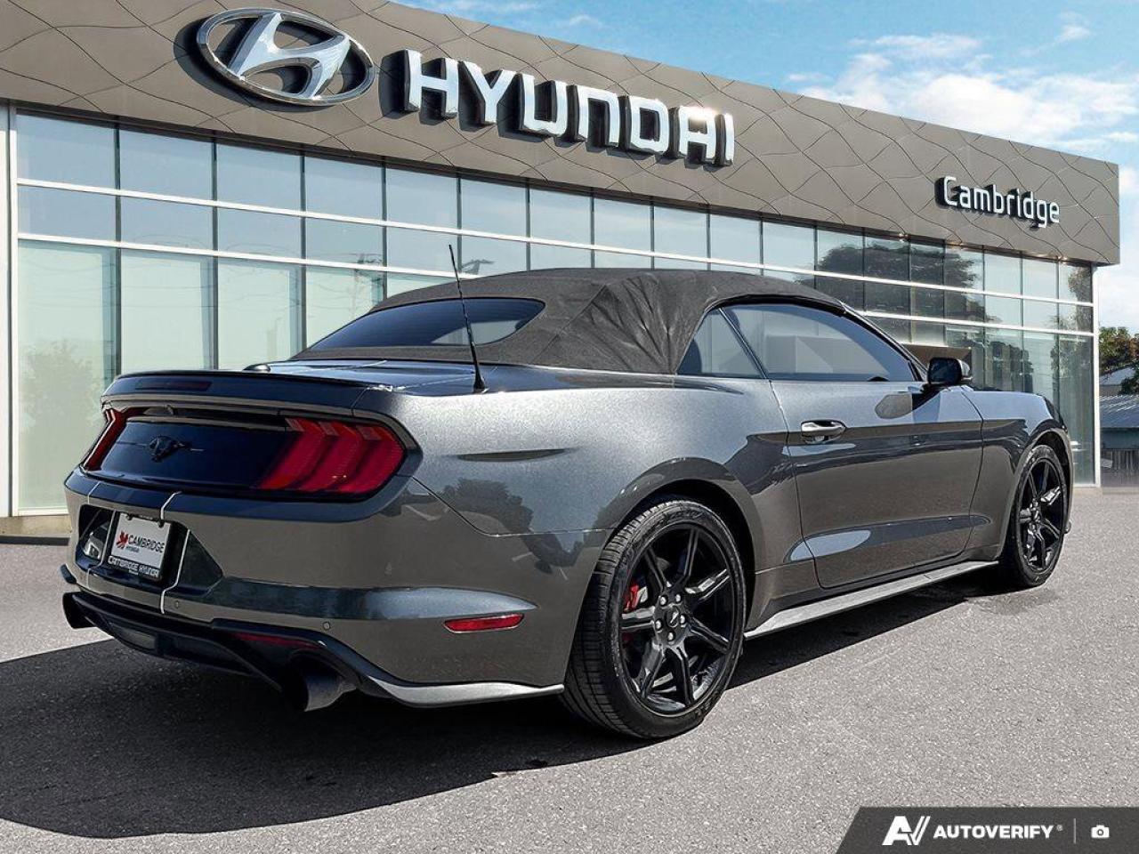 2019 Ford Mustang Convertible   Automatic   Turbocharged   Low KM Photo