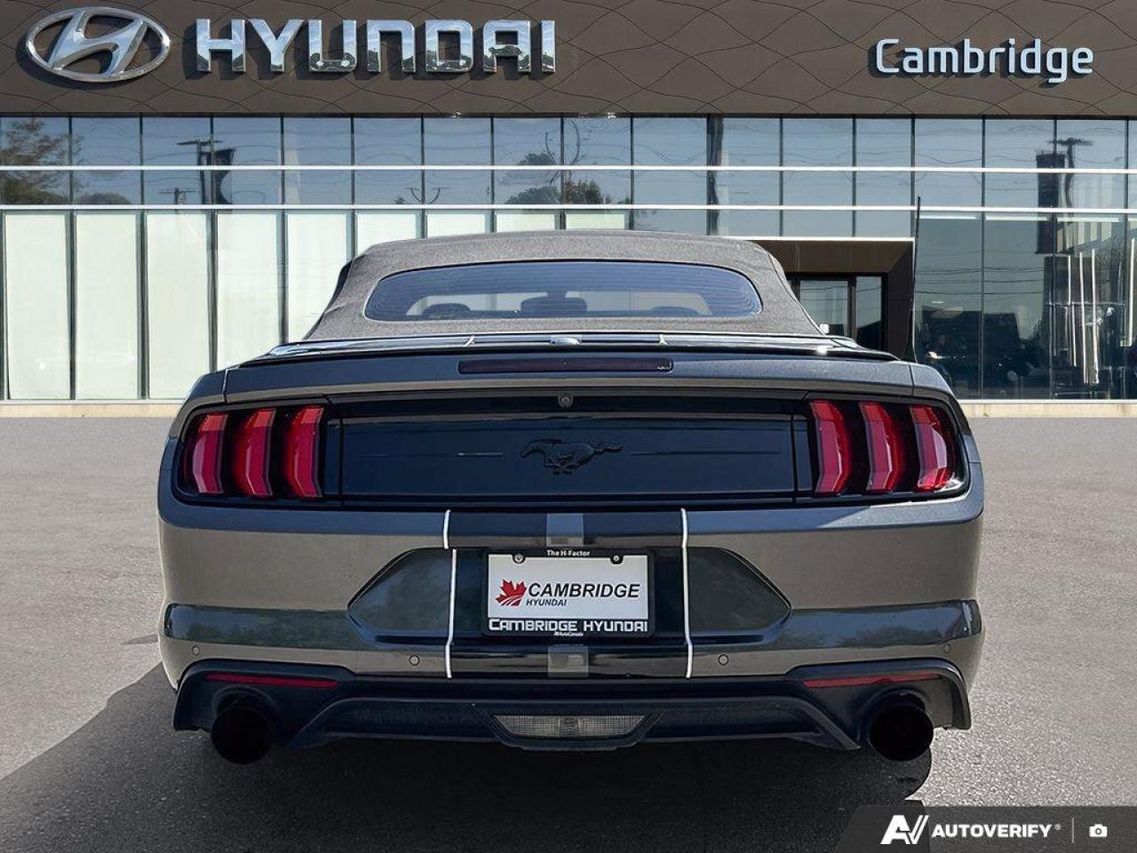2019 Ford Mustang Convertible   Automatic   Turbocharged   Low KM Photo