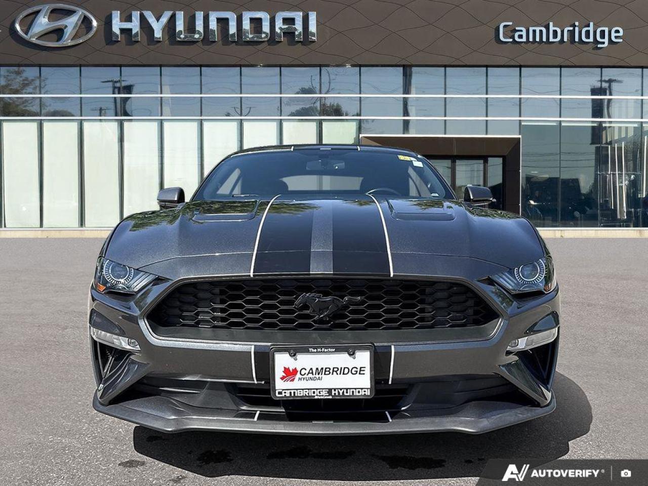2019 Ford Mustang Convertible   Automatic   Turbocharged   Low KM Photo