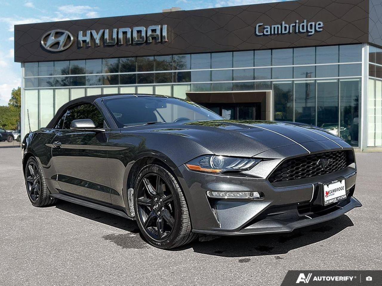 2019 Ford Mustang Convertible   Automatic   Turbocharged   Low KM Photo