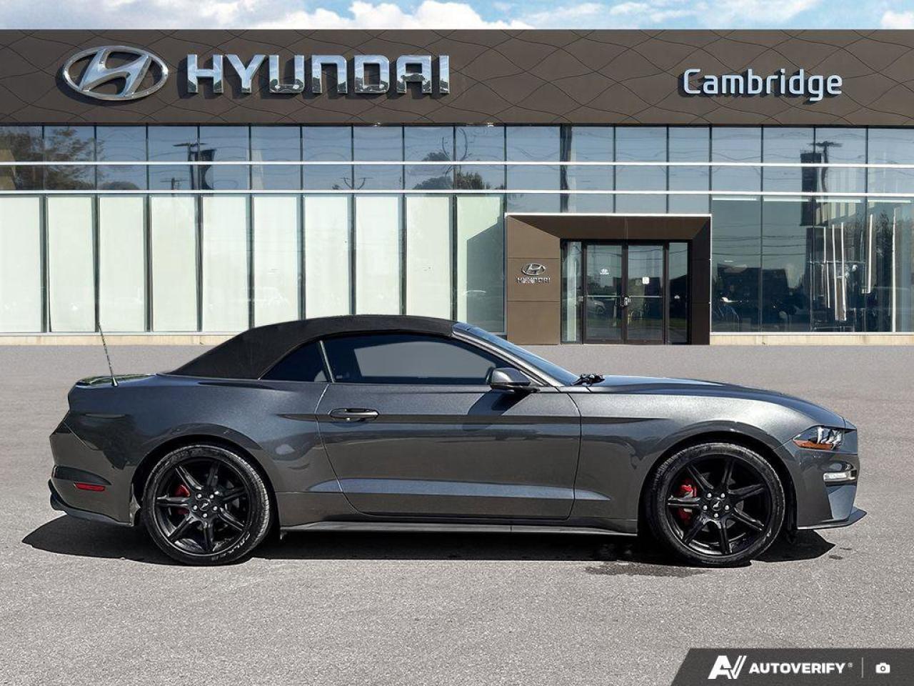 2019 Ford Mustang Convertible   Automatic   Turbocharged   Low KM Photo