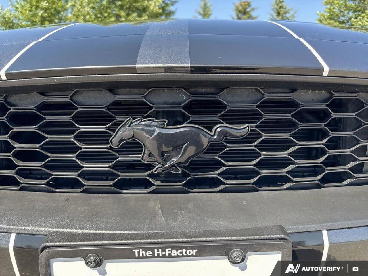 2019 Ford Mustang Convertible   Automatic   Turbocharged   Low KM Photo