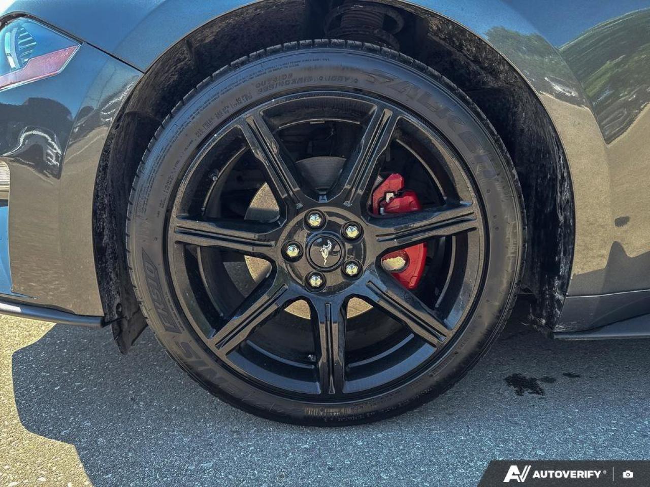 2019 Ford Mustang Convertible   Automatic   Turbocharged   Low KM Photo