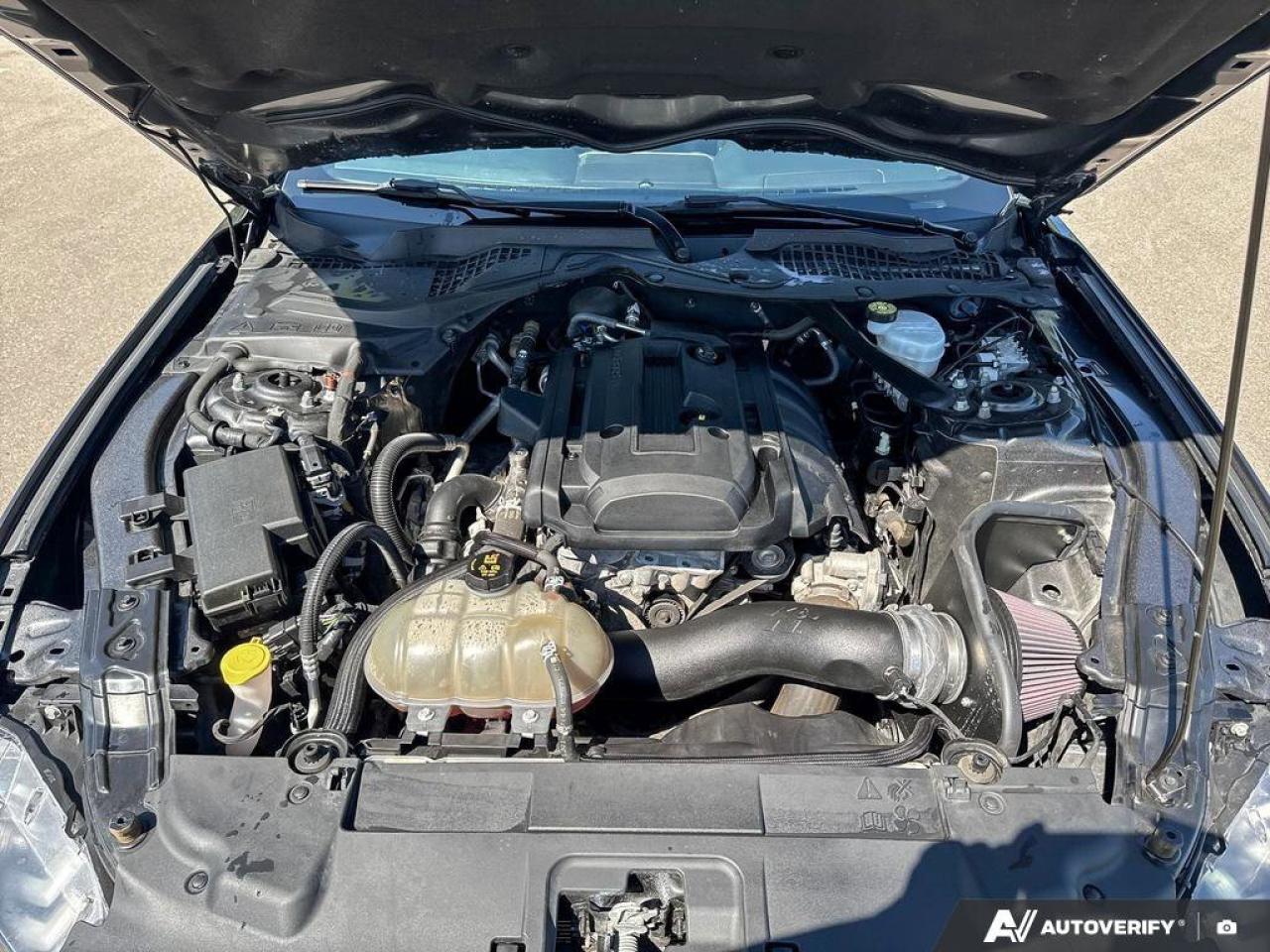 2019 Ford Mustang Convertible   Automatic   Turbocharged   Low KM Photo