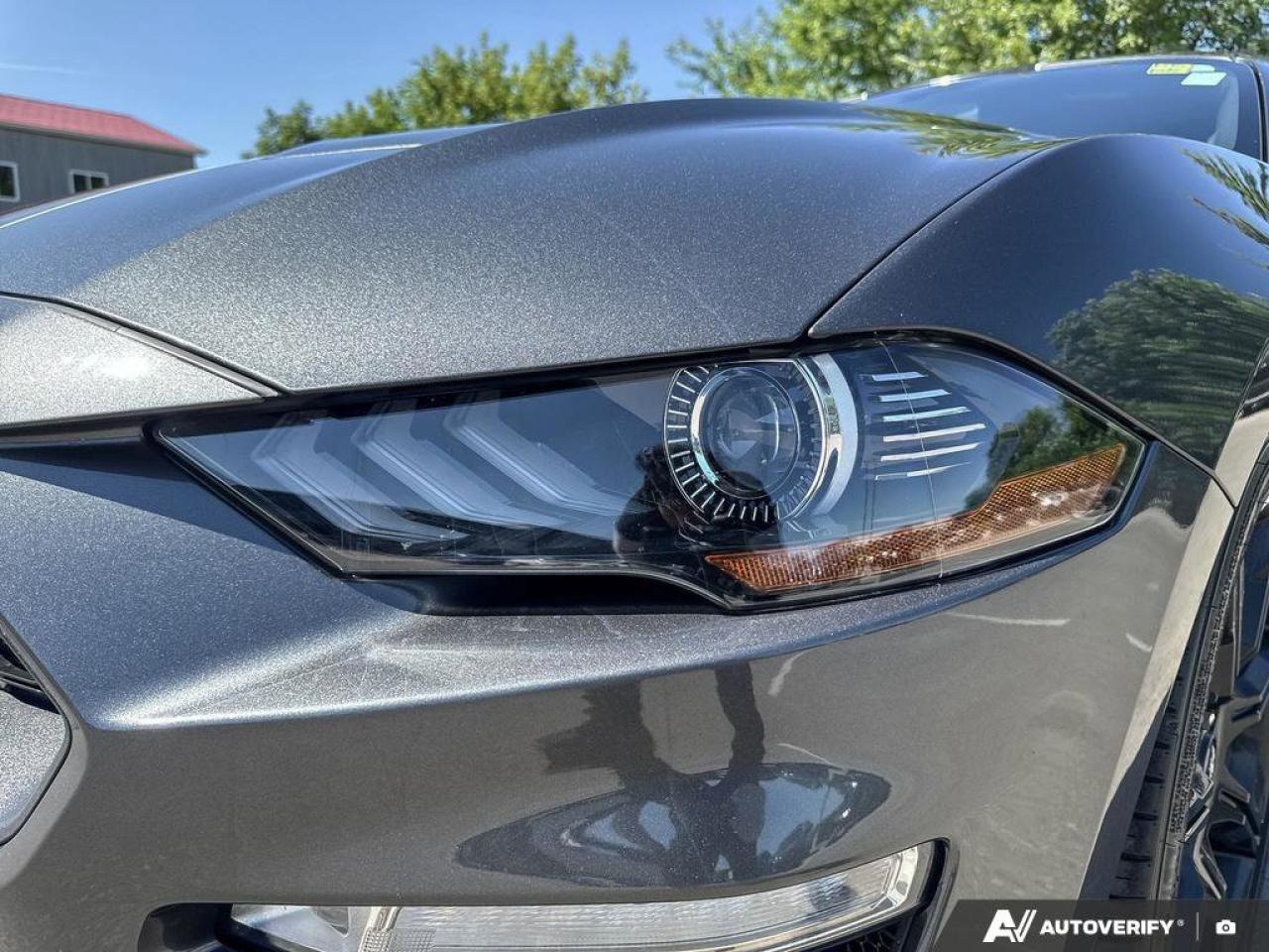 2019 Ford Mustang Convertible   Automatic   Turbocharged   Low KM Photo