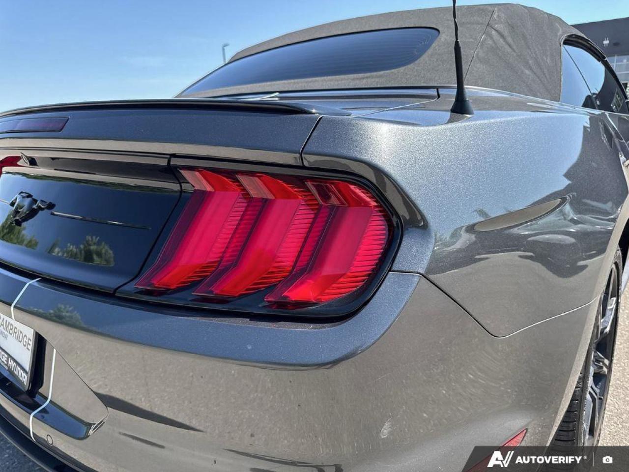 2019 Ford Mustang Convertible   Automatic   Turbocharged   Low KM Photo