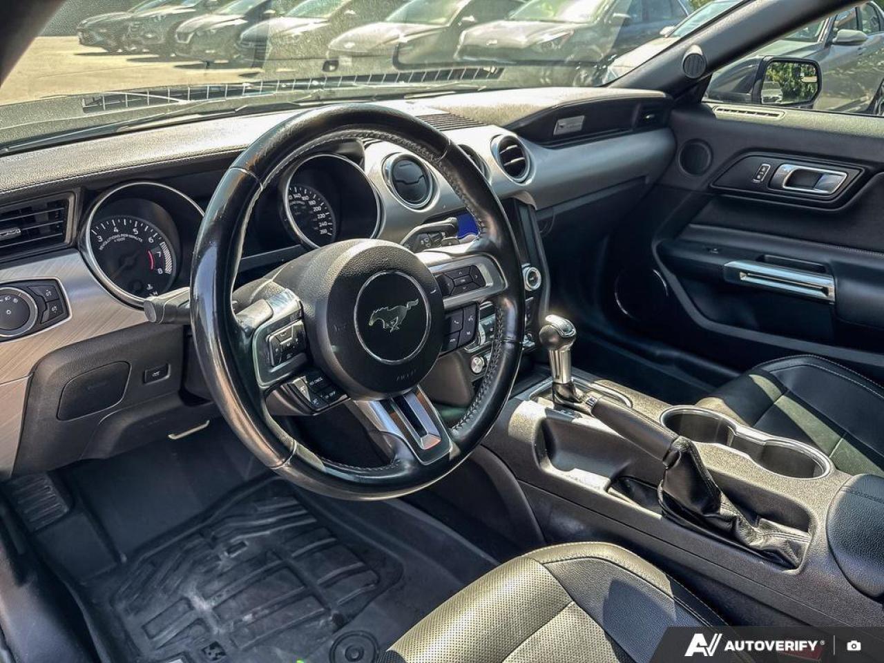 2019 Ford Mustang Convertible   Automatic   Turbocharged   Low KM Photo