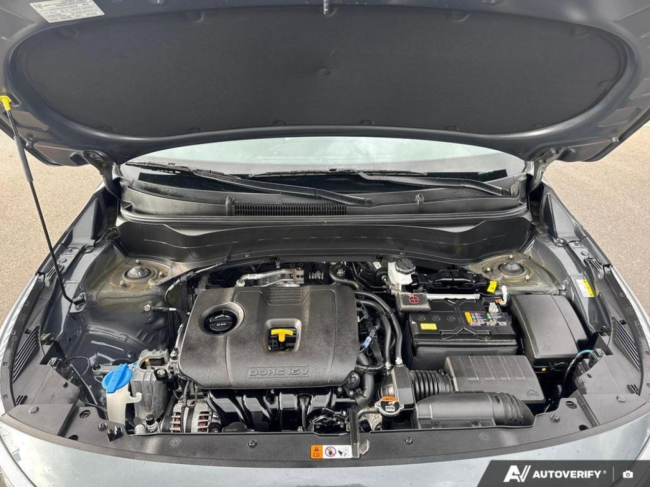 2025 Kia Seltos LX Photo