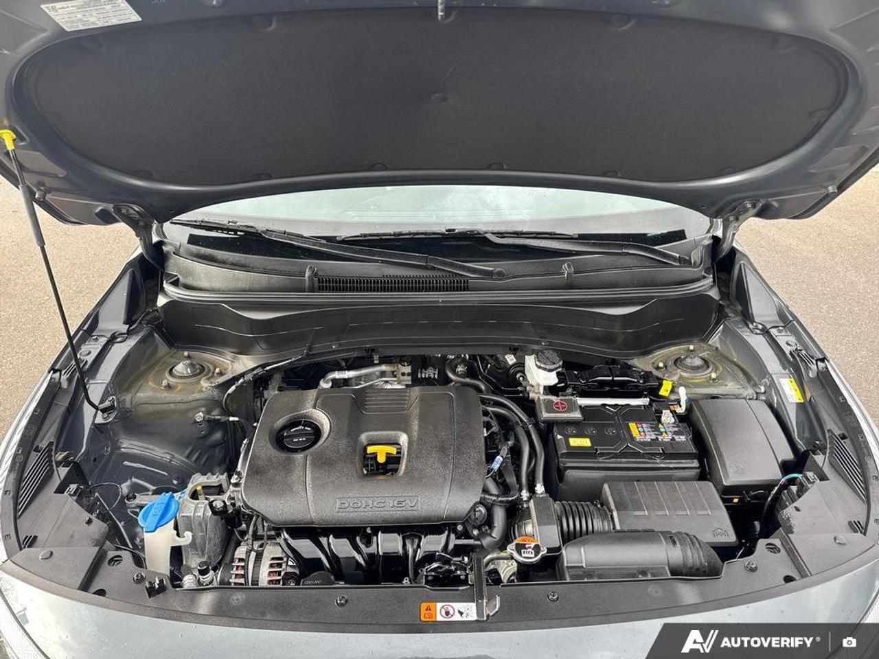 2025 Kia Seltos LX Photo