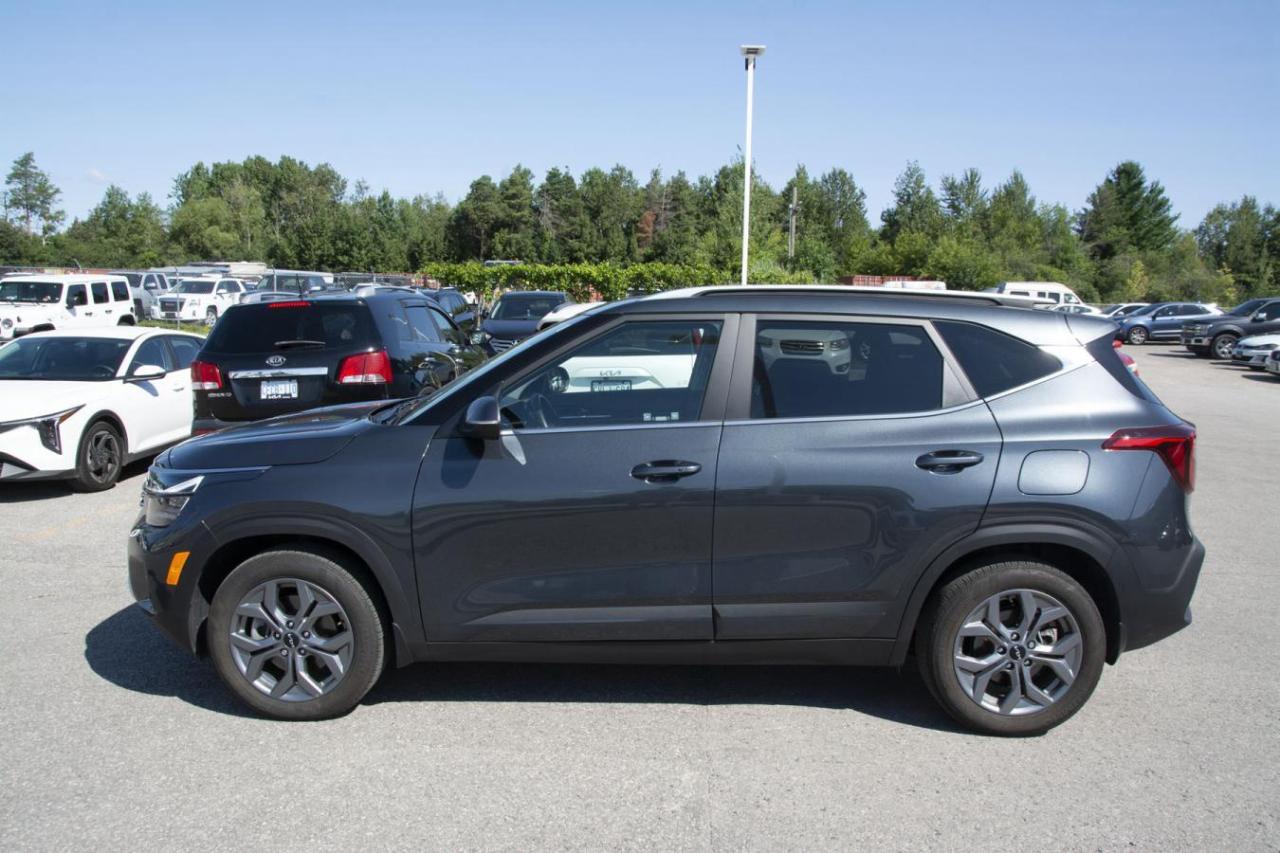 2024 Kia Seltos SELTOS S Photo