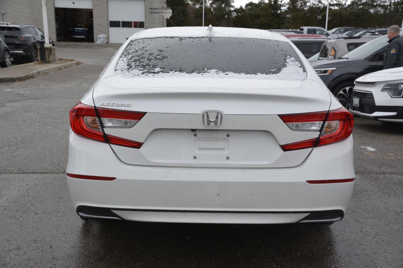 2019 Honda Accord Sedan Accord Photo