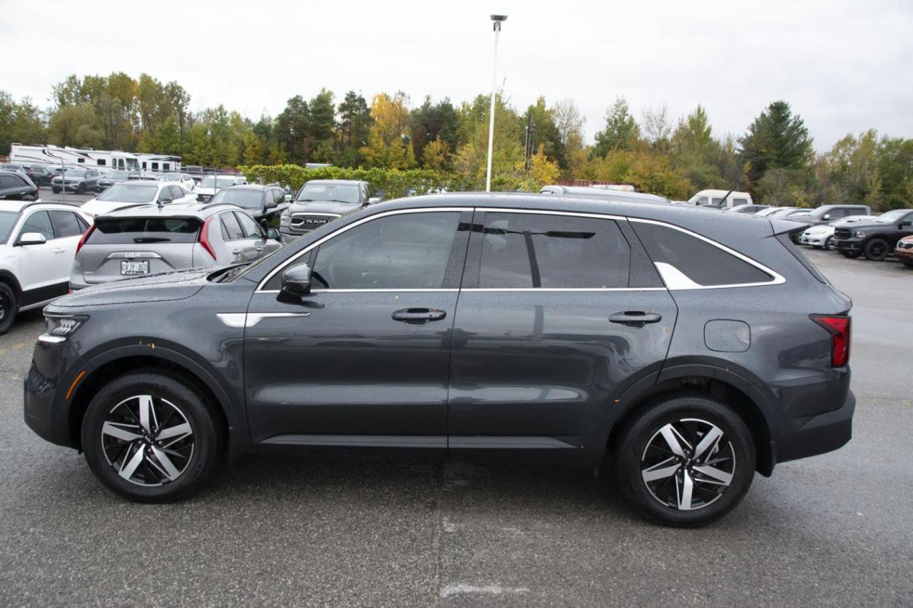 2023 Kia Sorento LX Photo