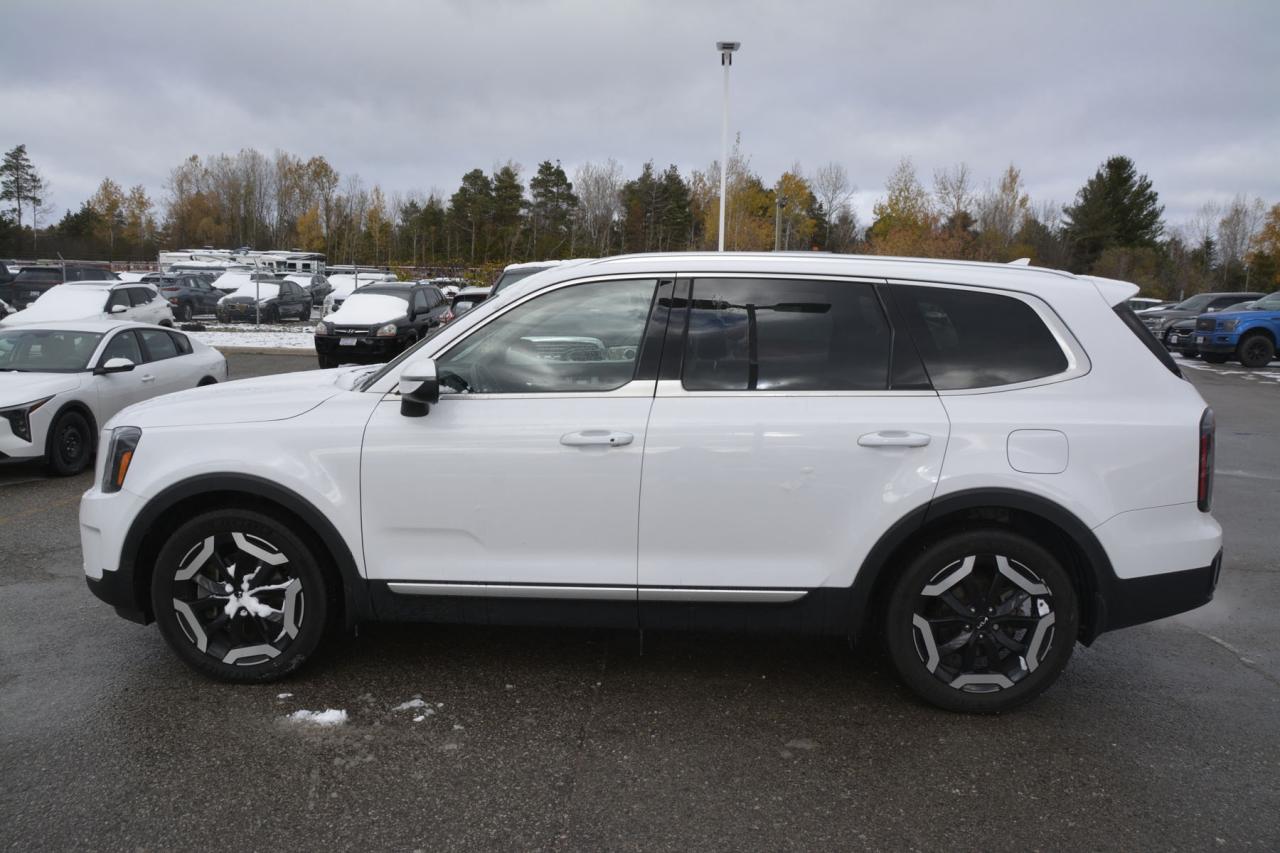 2023 Kia Telluride TELLURIDE EX/EX X-LINE Photo