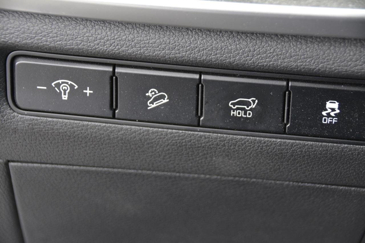 2023 Kia Telluride TELLURIDE EX/EX X-LINE Photo