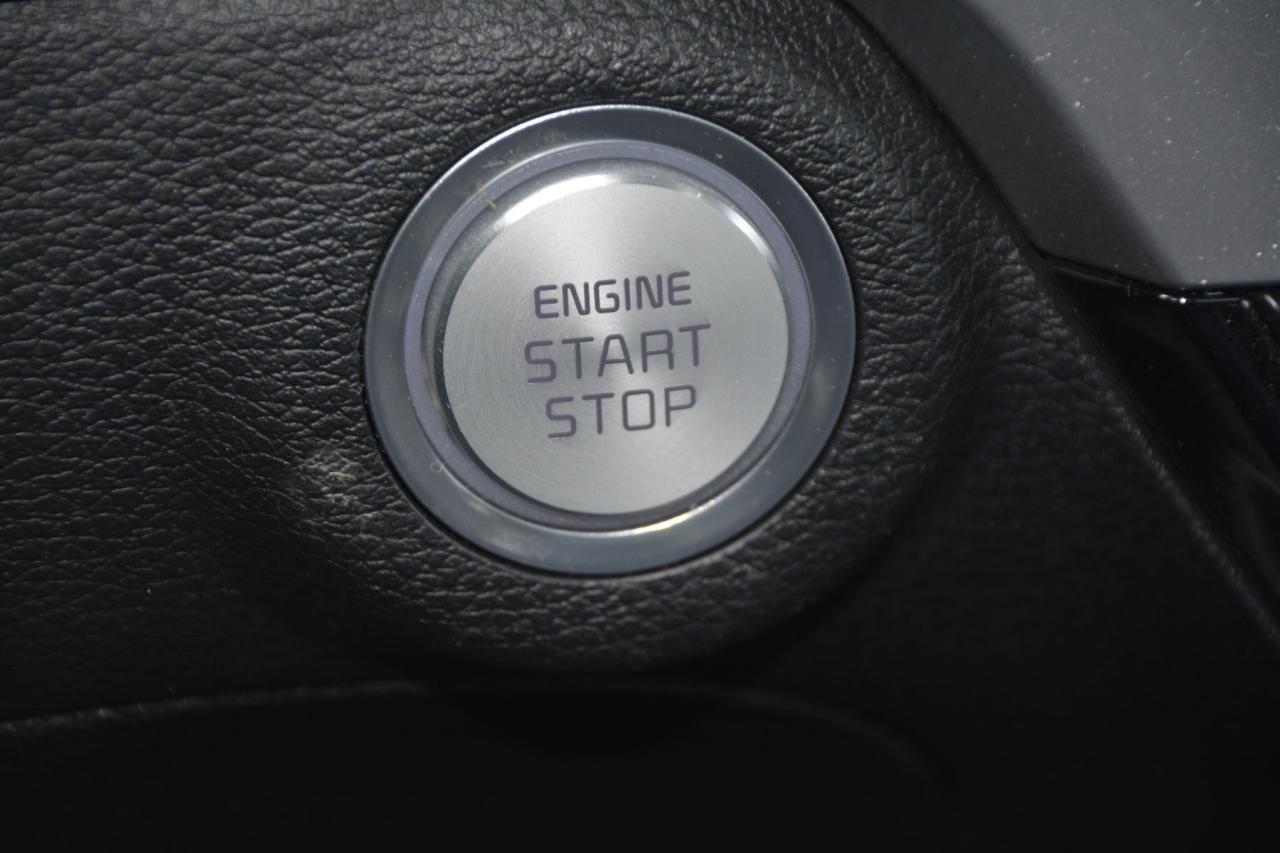 2023 Kia Telluride TELLURIDE EX/EX X-LINE Photo