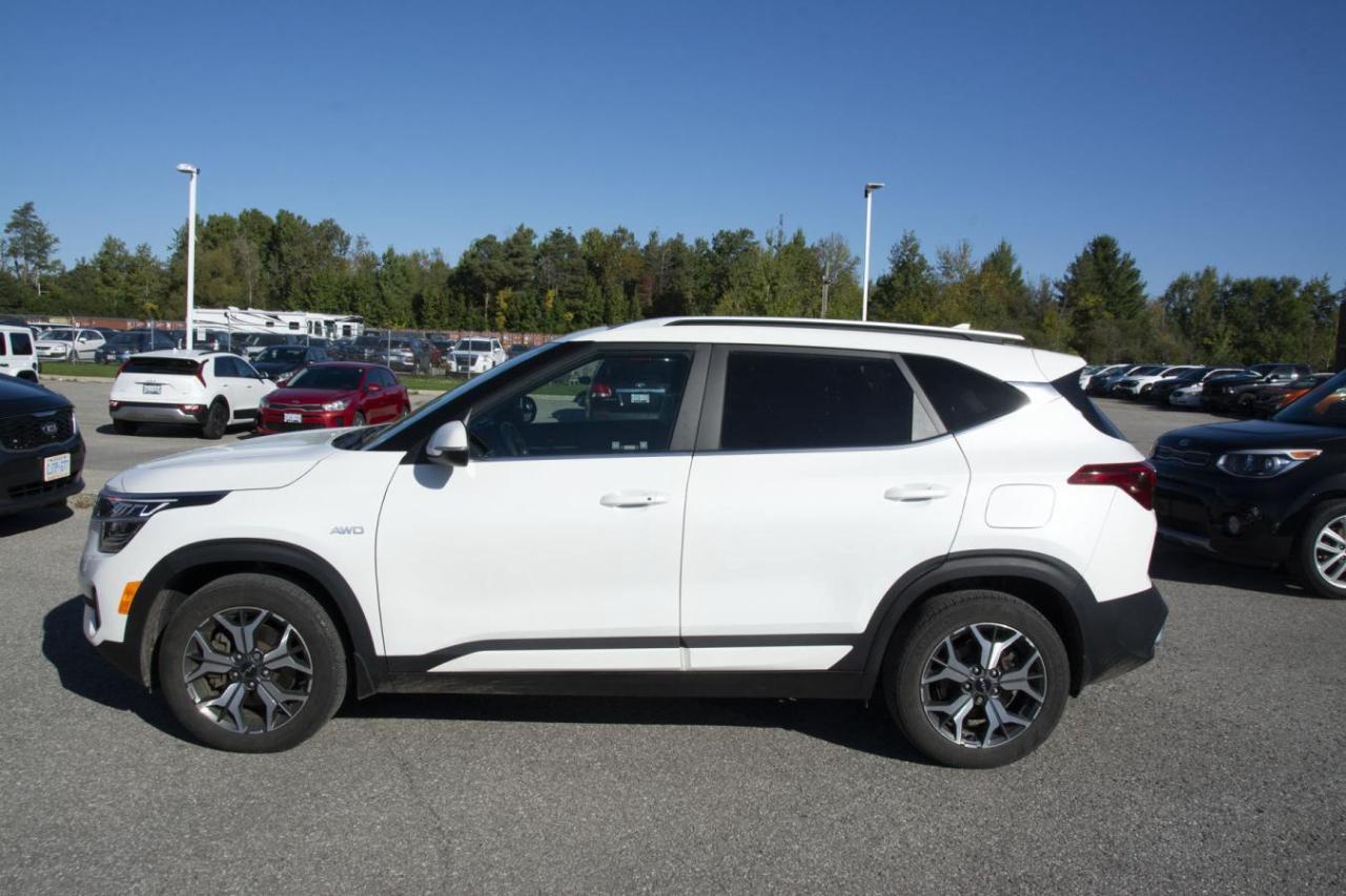 2023 Kia Seltos EX Photo