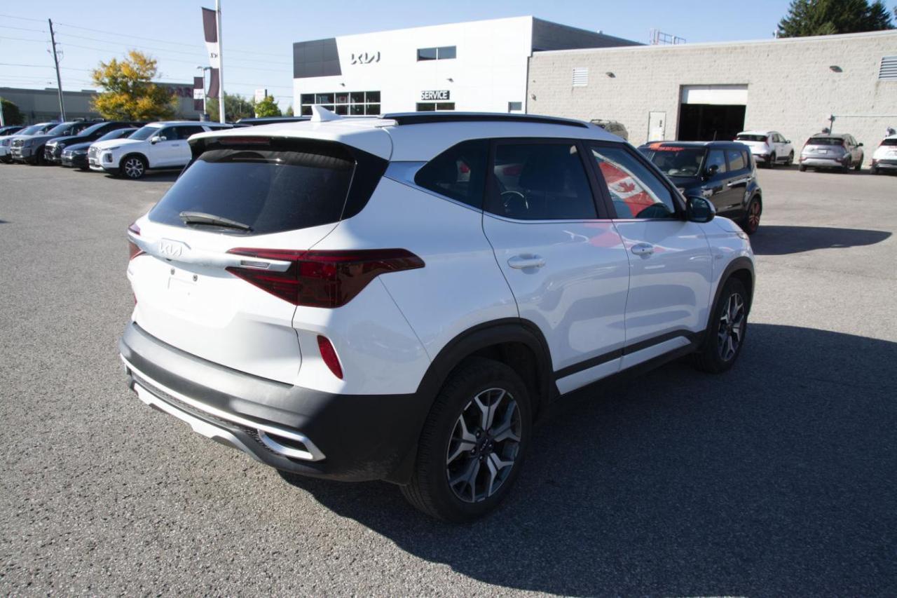 2023 Kia Seltos EX Photo