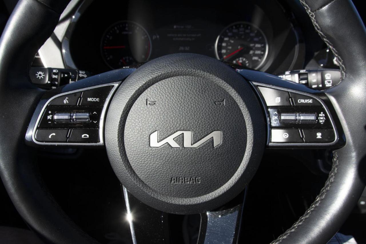 2023 Kia Seltos EX Photo